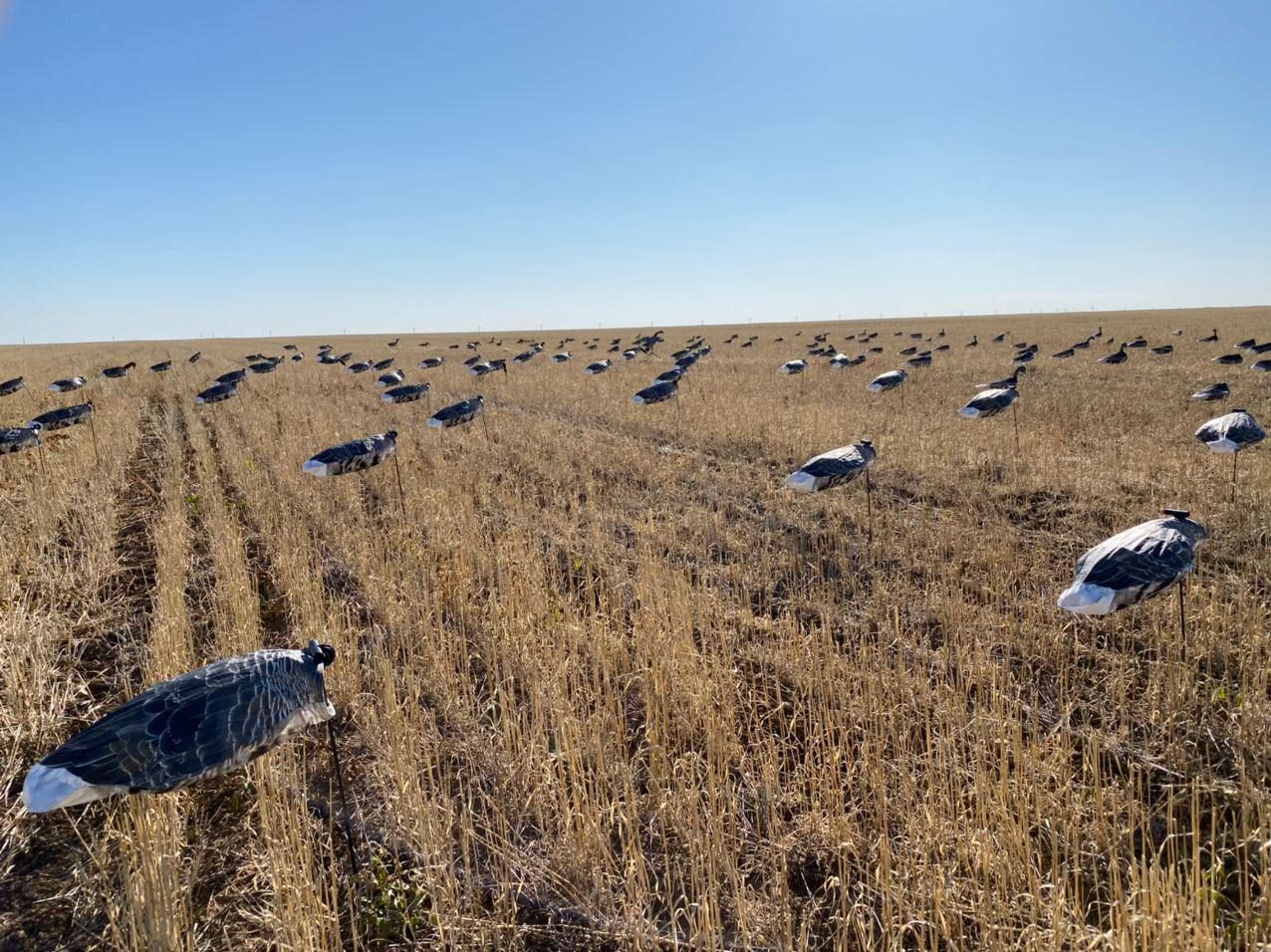 Ветровое чучело белолобого гуся "ЛАЙТ" Flock Decoys, 1 шт (без головы)