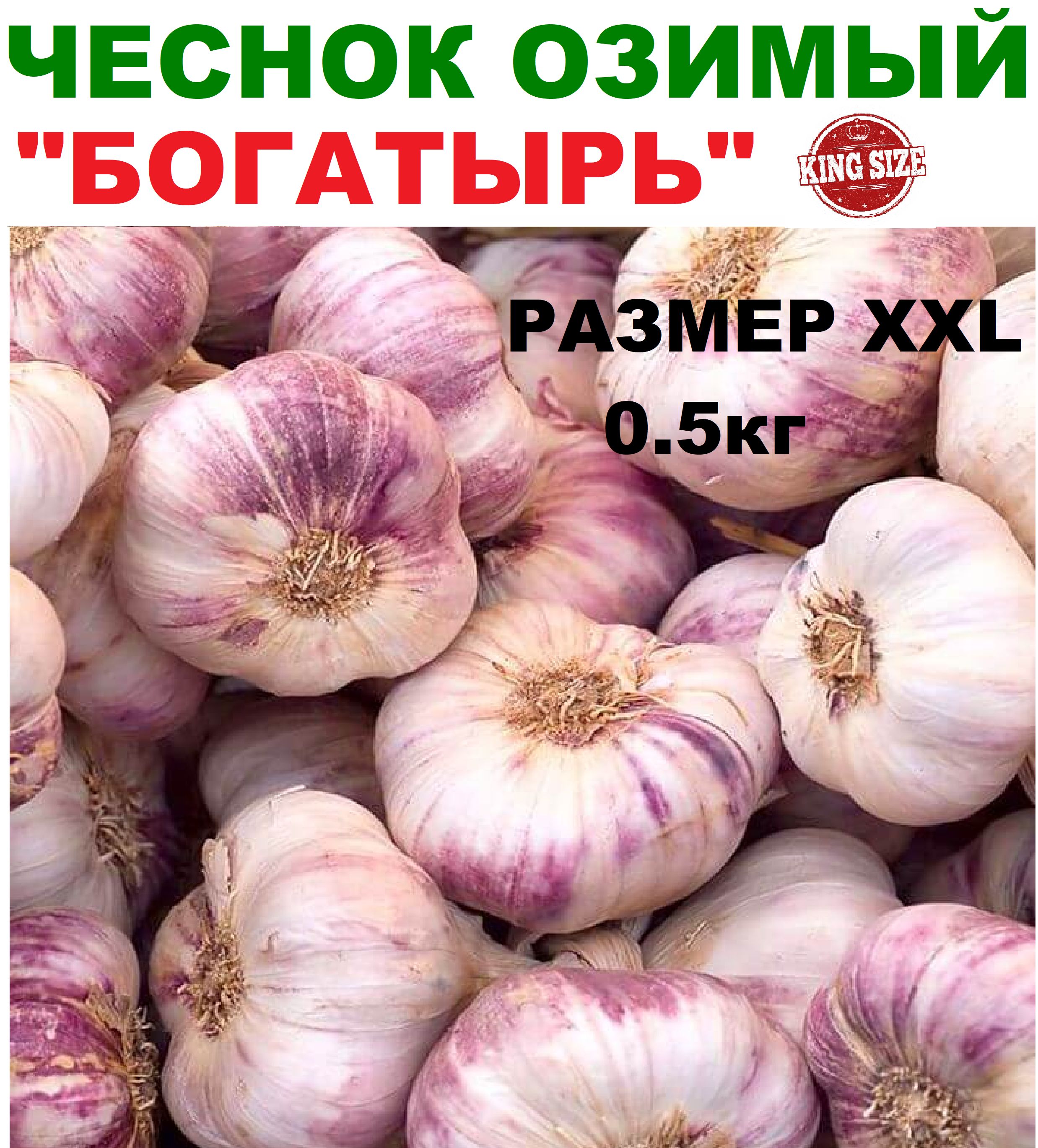 Чеснок озимый крупный...
