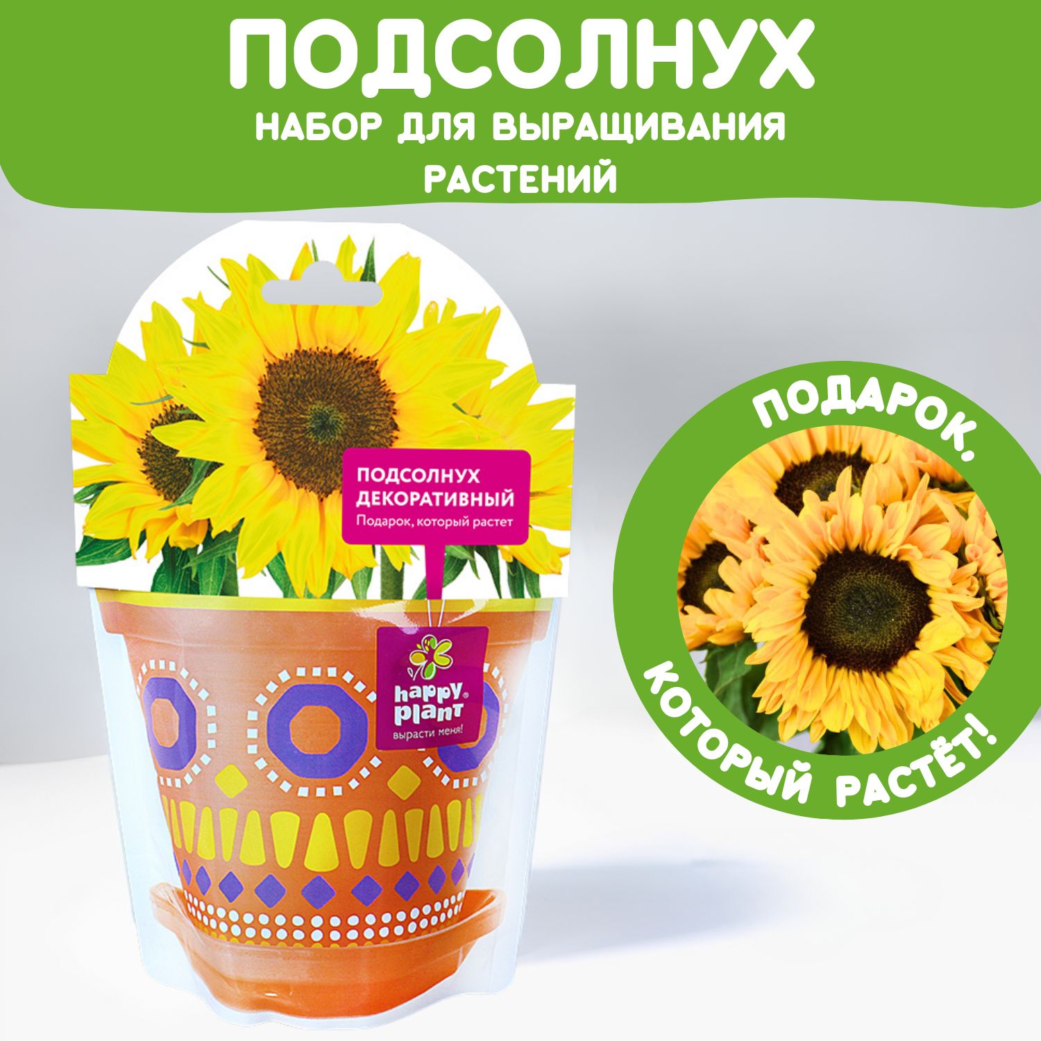 Набор для выращивания Happy Plant Подсолнух декоративный