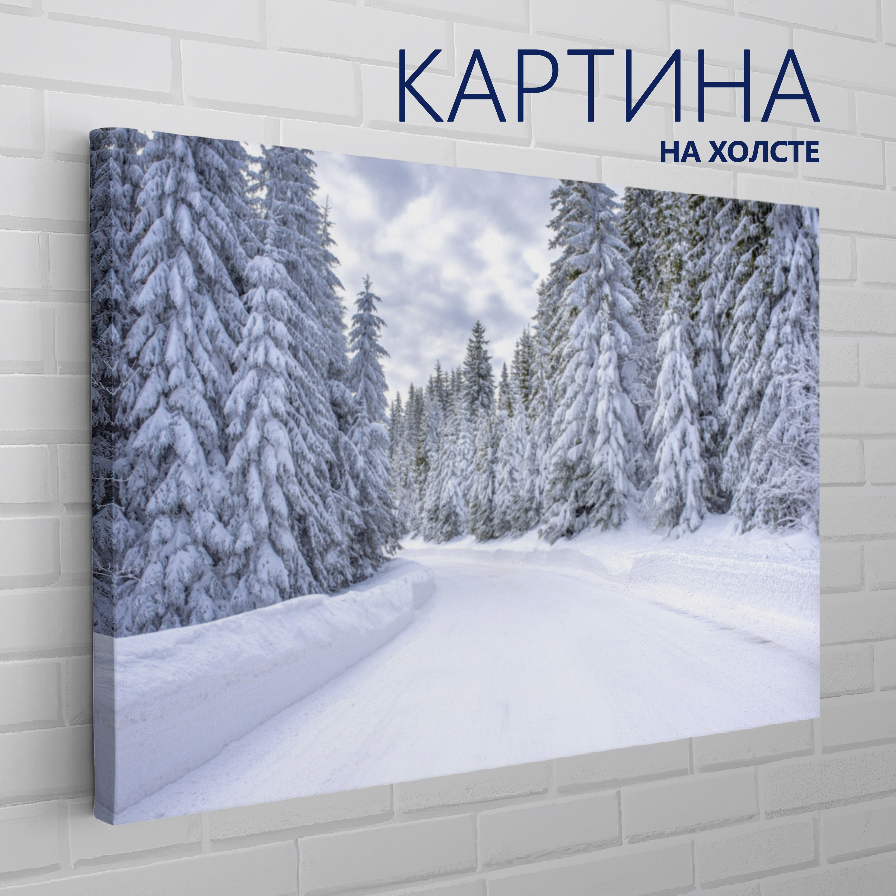 PRO Картины Картина "Зимний пейзаж. Дорога (2)", 70  х 50 см