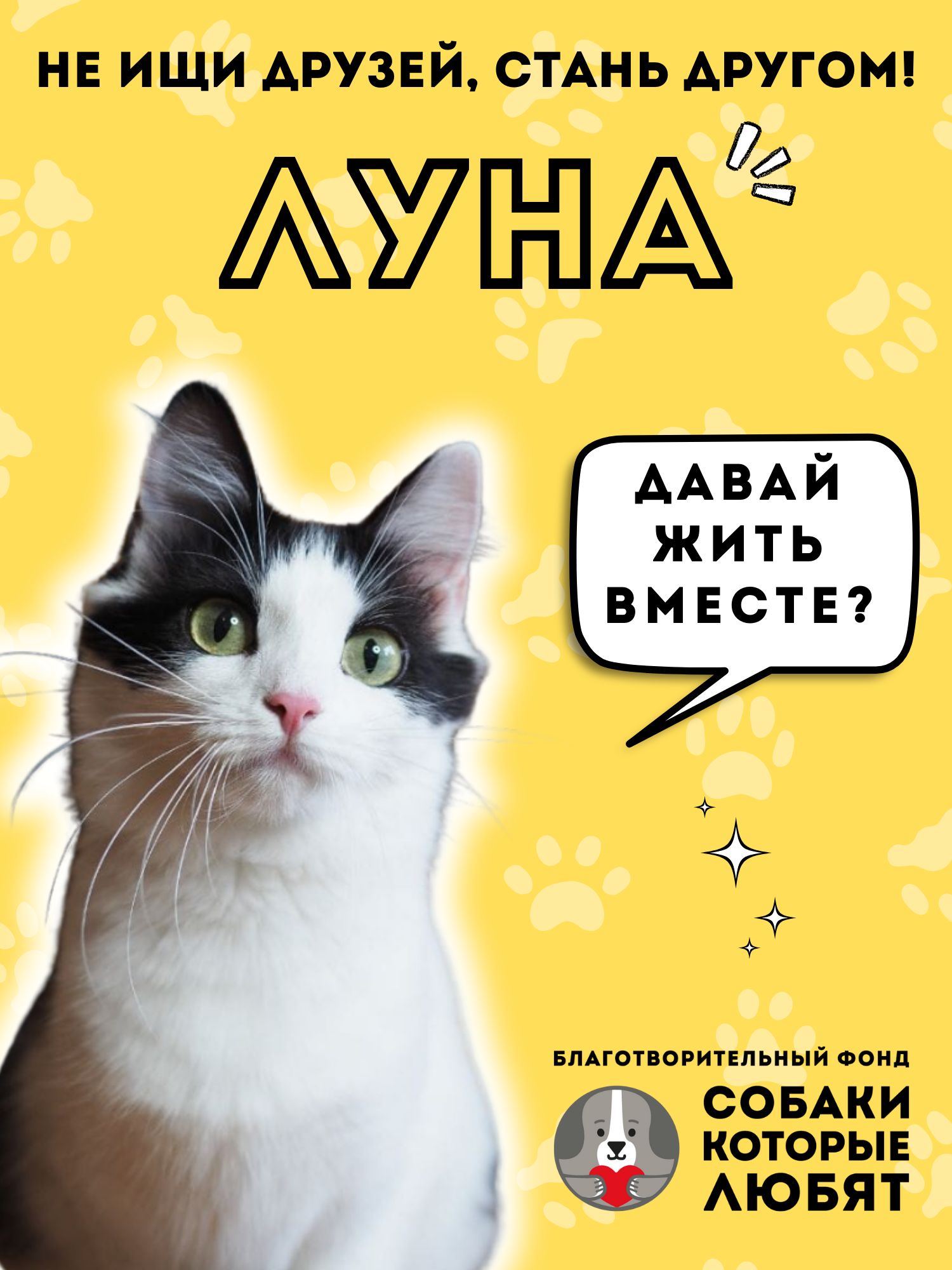 Знакомствоспитомцем