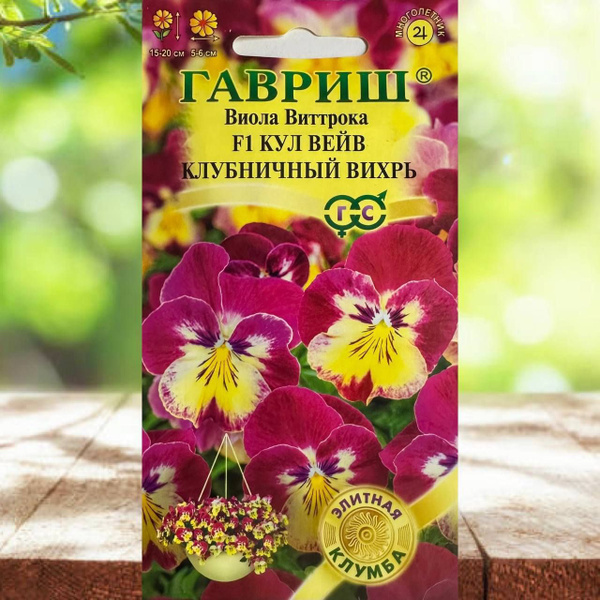 Виолы, анютины глазки Гавриш цветов для сада и балкона Виола Виттрока ...