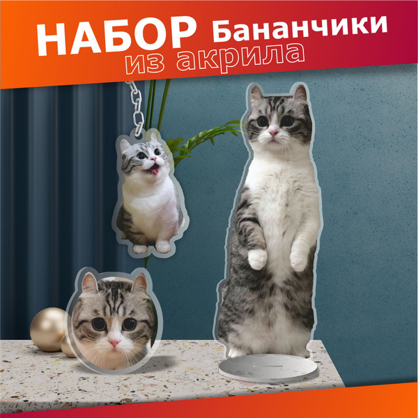 Акриловая фигурка значок брелок Комару Кот - купить с доставкой по ...