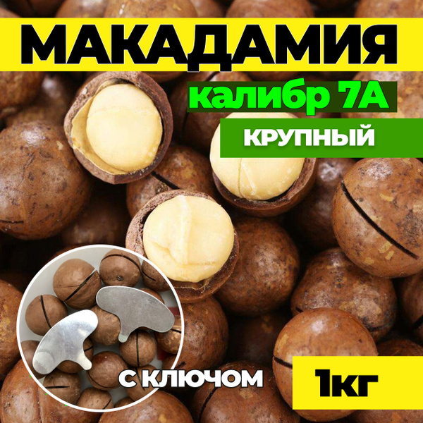Макадамия, Макадамия орех, калибр 7А 1кг в скорлупе с ключом - купить с ...