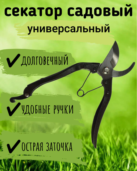 Секатор ЗВЕЗДА Ну-015 - купить по выгодным ценам в интернет-магазине ...