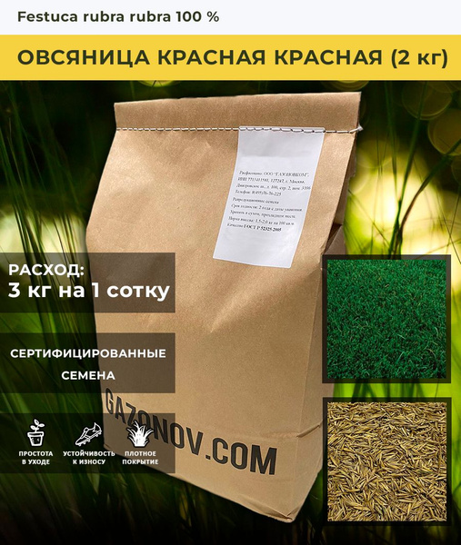 Овсяница Газоновком газона Овсяница красная - купить по выгодным ценам ...
