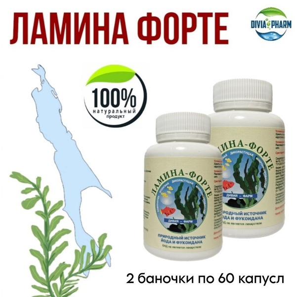 Ламина Форте 2шт (100% Ламинария японика) - купить с доставкой по ...