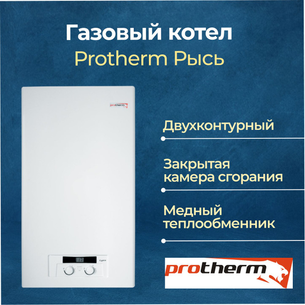 Газовый котел Protherm 11 кВт Рысь - купить по выгодной цене в интернет ...