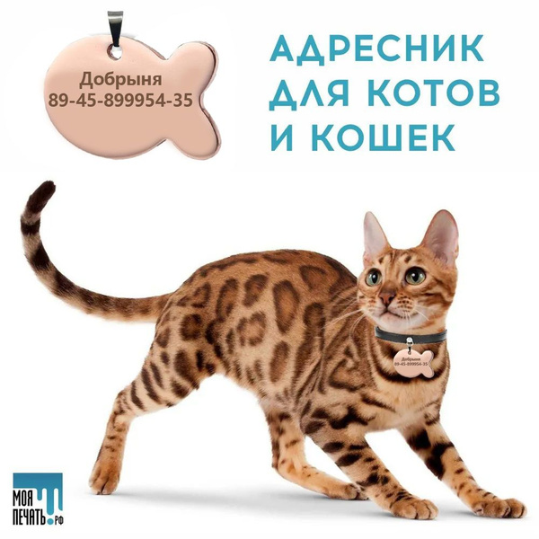 Адресник для кошки и кота с гравировкой - Рыбка (нержавейка с покрытием ...