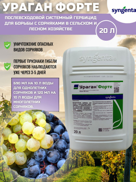 Гербицид Syngenta Ураган Форте для борьбы с сорняками 20 л - купить по ...