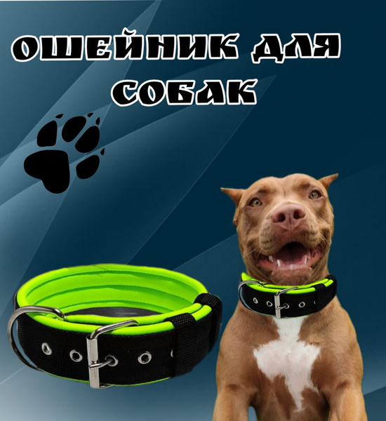 Ошейник для собак R-and-K широкий 4.8 см., для средних и крупных пород ...