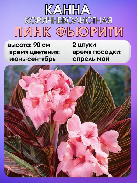 Клубни Russian Garden купить по выгодной цене в интернет-магазине OZON ...