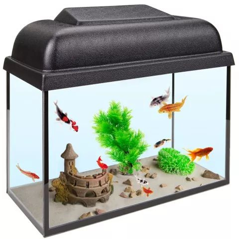 Аквариум прямоугольный (10 л, 32x14,9x23 см) с крышкой - купить с ...