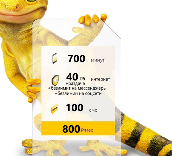 SIM-карта Сим карта Билайн с тарифом для смартфона за 800р/мес, 100 смс ...