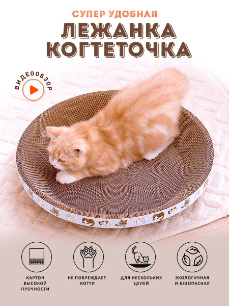Когтеточка лежанка для кошки. - купить с доставкой по выгодным ценам в ...