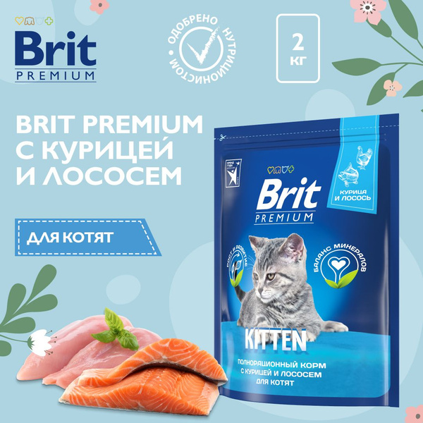Корм сухой Brit Premium Cat Kitten сухой корм премиум класса с курицей ...