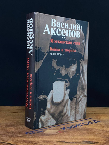 Московская сага. Война и тюрьма. Книга 2 - купить с доставкой по ...