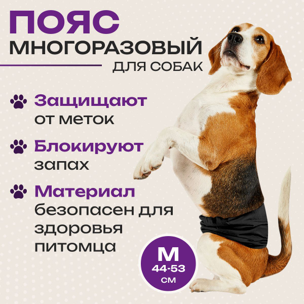 Пояс для кобелей многоразовый заменит трусы памперсы подгузники и даже ...