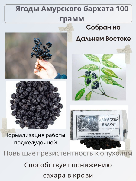 Амурский бархат. Плоды Амурского Бархата 100 гр. - купить с доставкой ...