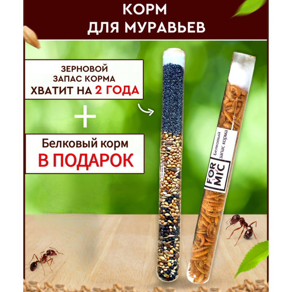 Корм для муравьев - купить с доставкой по выгодным ценам в интернет ...