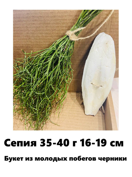 Игрушки для попугаев в клетку Сепия - купить с доставкой по выгодным ...