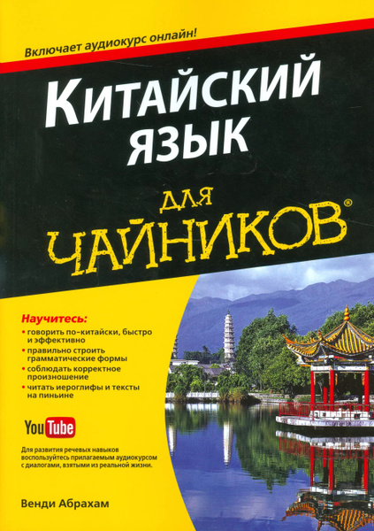Китайский язык для чайников, 2-е издание, & - купить с доставкой по ...