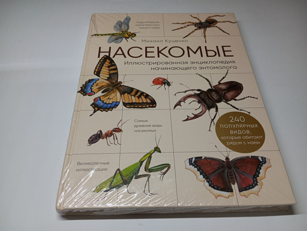 Насекомые. Иллюстрированная энциклопедия начинающего энтомолога. 240 ...