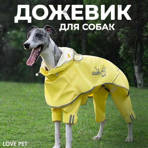 Дождевик для крупных и средних пород собак - купить с доставкой по ...