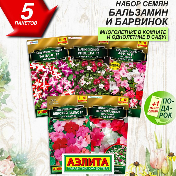 Бальзамины комнатные, Бальзамины однолетние Аэлита Комнатные - купить ...