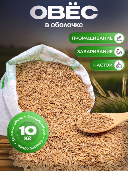 Овес для заваривания и проращивания в оболочке 10 кг - купить с ...