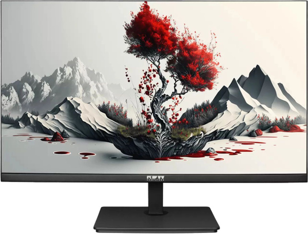 Монитор RDW Computers RDW2401K 23.8" - купить по выгодной цене в ...