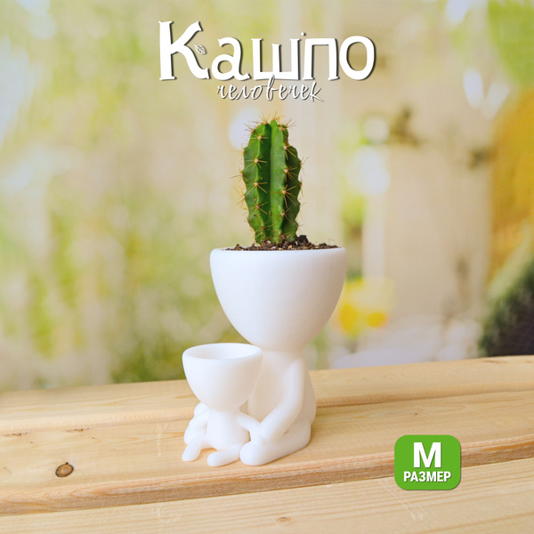 Кашпо для кактусов, суккулентов и мха, декоративное, 10 см - купить с ...