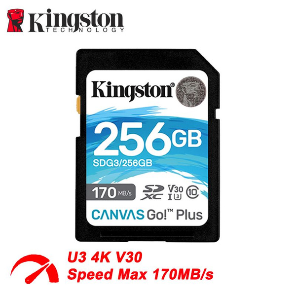 Карта памяти Kingston Карта памяти Canvas Go Plus SDS2 SD-карта 256 ГБ ...