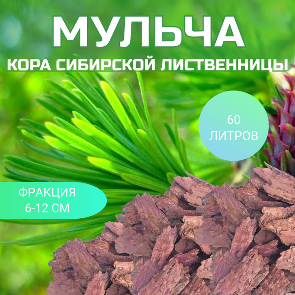 Кора лиственницы сибирской - купить по низкой цене в интернет-магазине ...