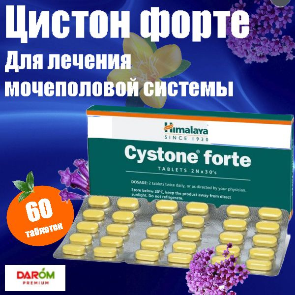 Cystone Forte / Цистон Форте, для здоровья мочеполовой системы, 60 шт ...
