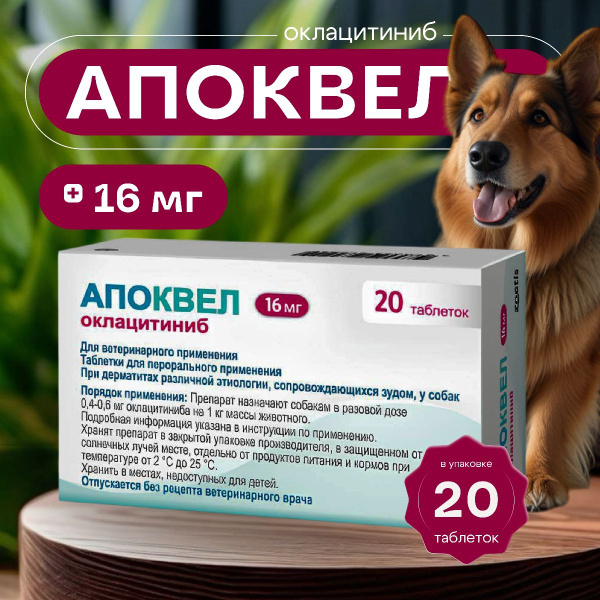 Zoetis Апоквел 16 мг 20 таблеток до 05.2026 г. купить на OZON по низкой ...