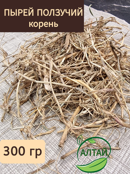 Пырей ползучий корень, 300 гр - купить с доставкой по выгодным ценам в ...