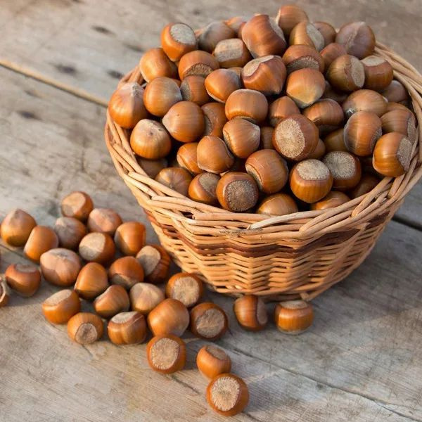 Фундук неочищенный, сырой/Натуральный продукт 100%/1000г - купить с ...