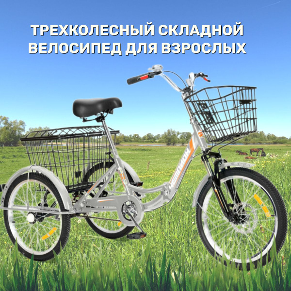 Трехколесный велосипед взрослый серебро СКЛАДНОЙ РВЗ Чемпион 20 ...