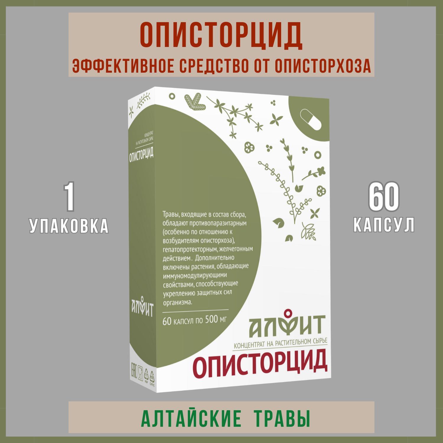 Описторцид, 60 капсул - купить с доставкой по выгодным ценам в  интернет-магазине OZON (1113688745)