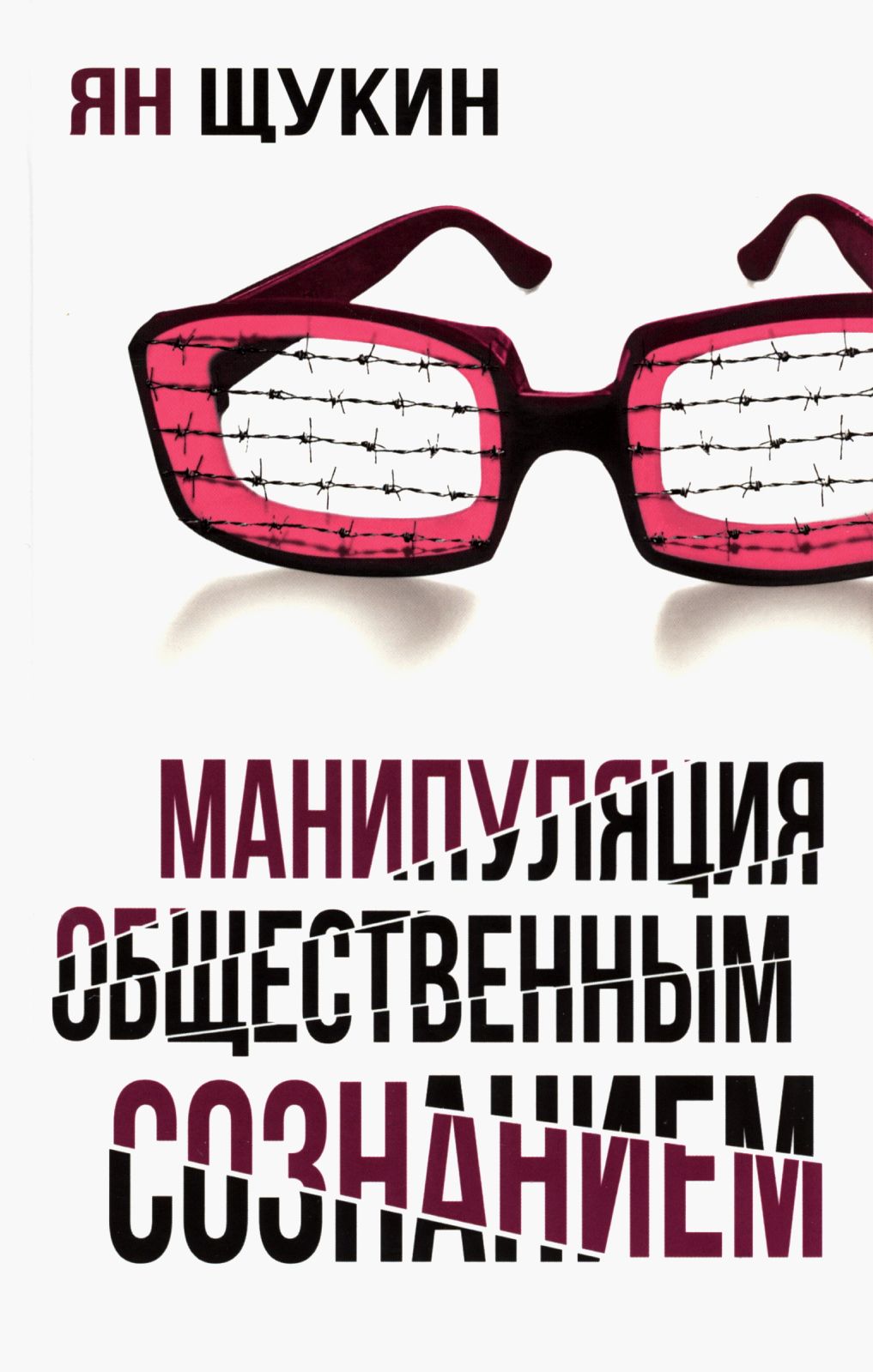 Манипуляции общественным сознанием | Щукин Я.