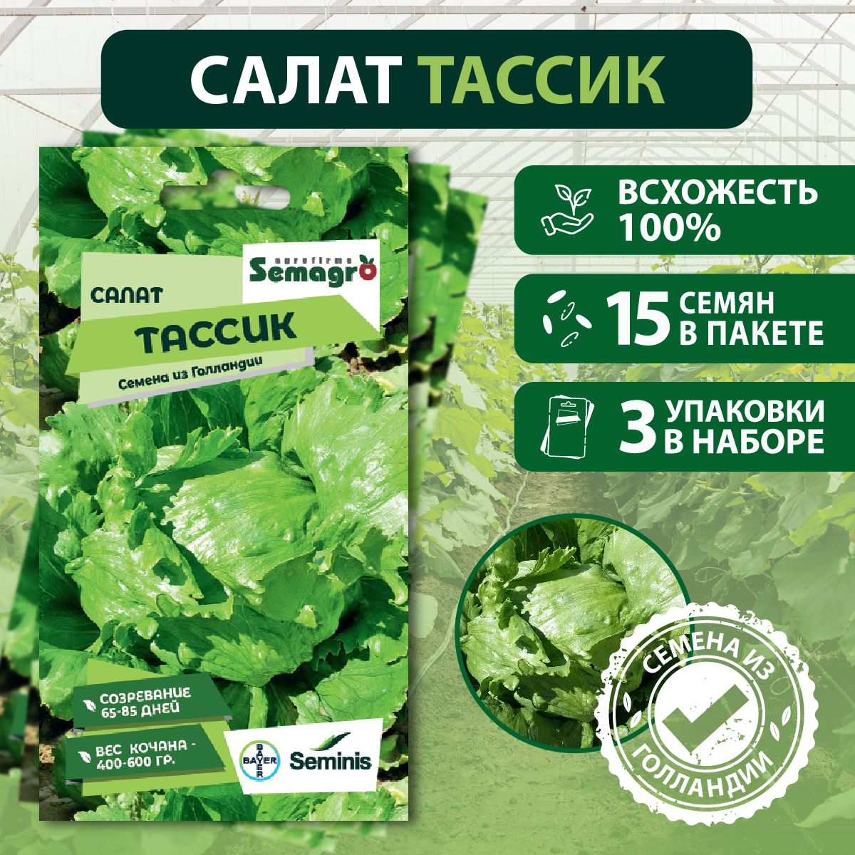 Семена салата Тассик SEMINIS, 3 пакета, (15 семян в одном пакете), Голландия