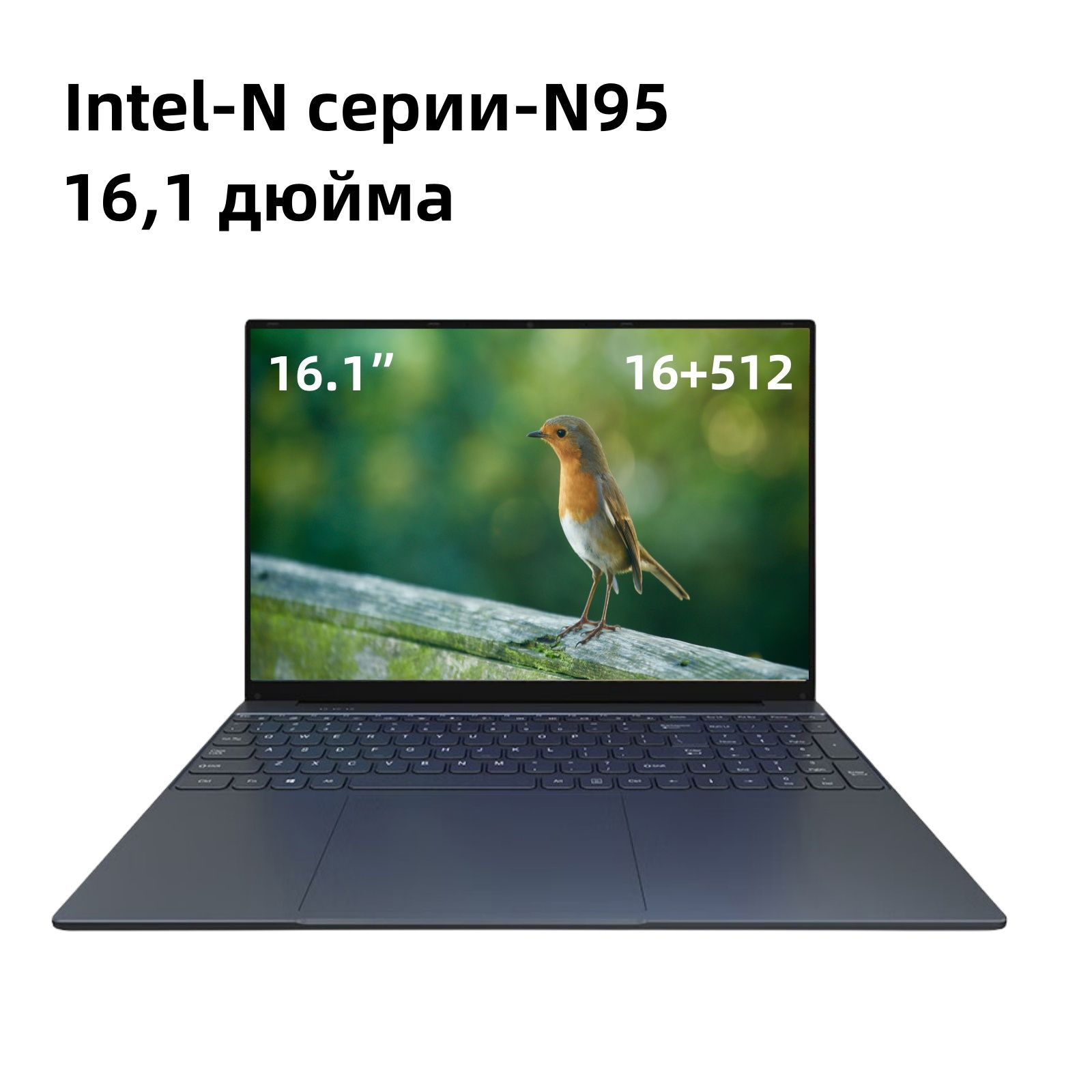 DRILlaptopНоутбук16.1",IntelN95,RAM16ГБ256ГБ,IntelUHDGraphics,WindowsPro,темно-серый,Русскаяраскладка