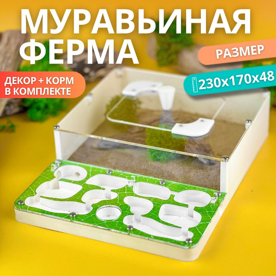 Средняя гипсовая муравьиная ферма AntBerry. ВСЕ включено. Формикарий для муравьев