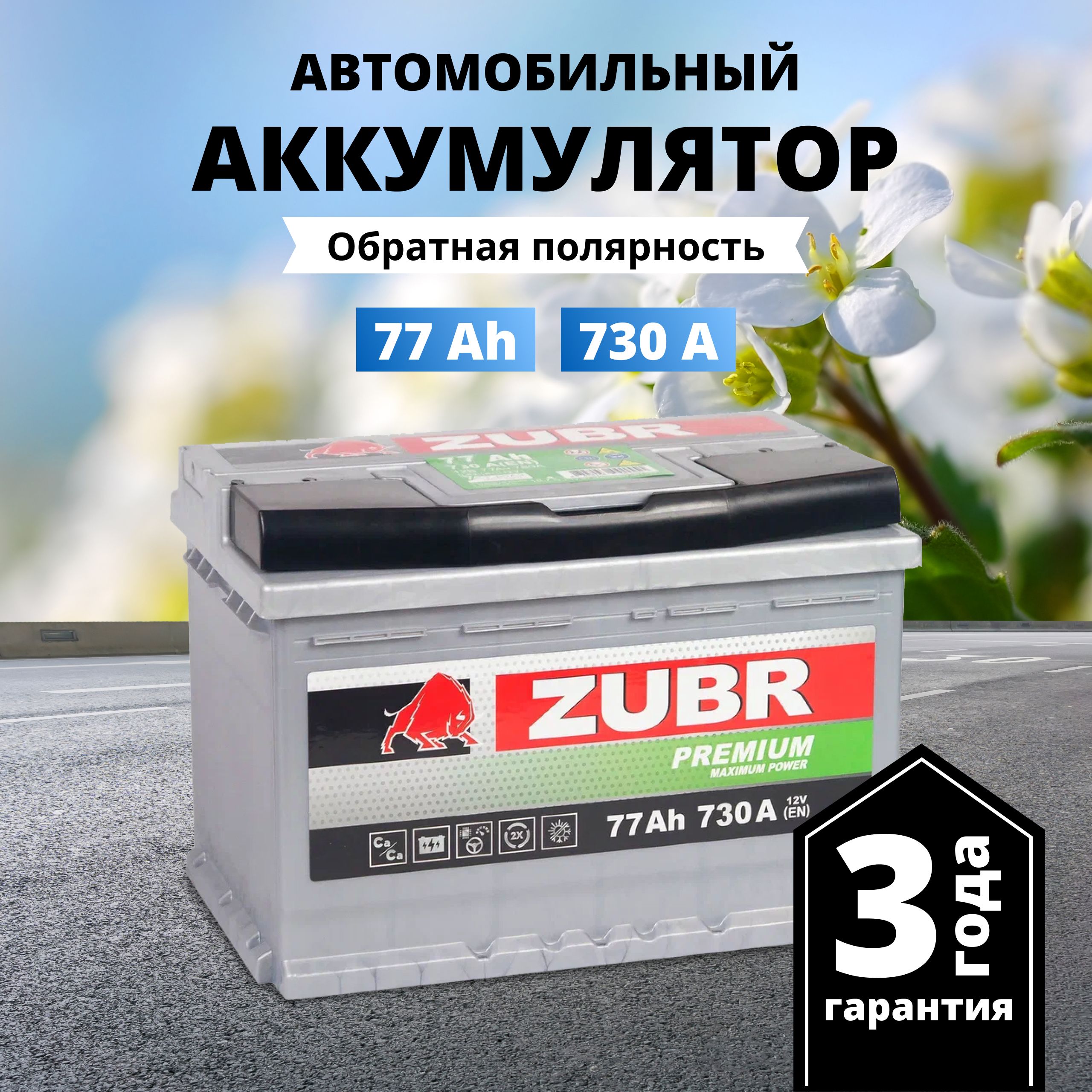 Аккумулятор автомобильный ZUBR Зубр Премиум купить по выгодной цене в  интернет-магазине OZON (696793978)