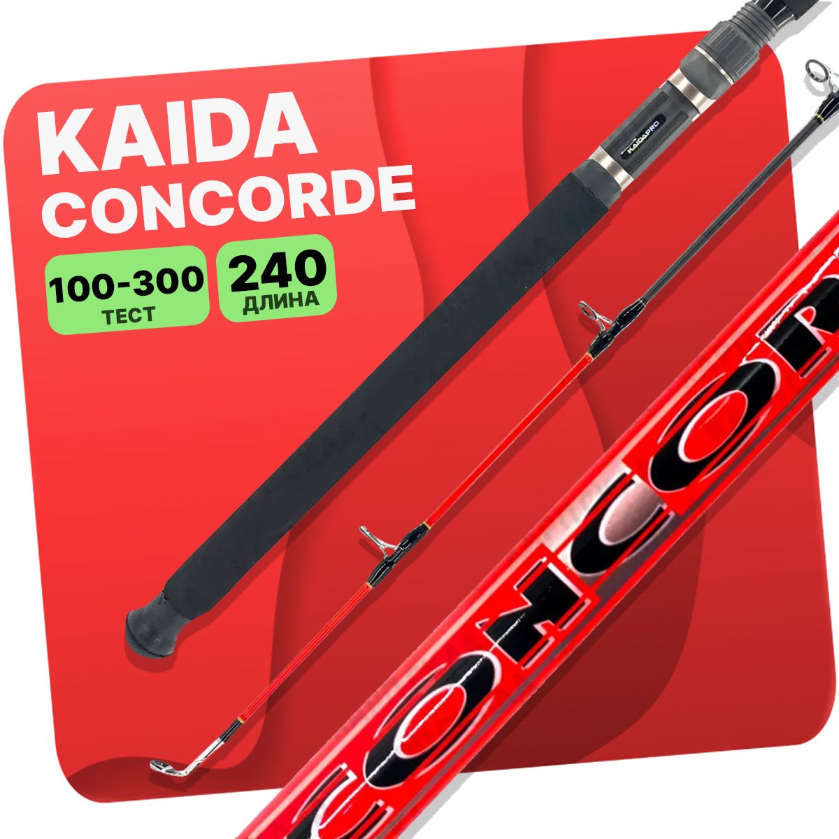 KaidaConcorde