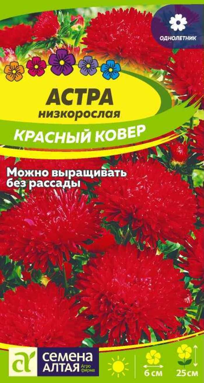 Купить Семена Низкорослых Цветов
