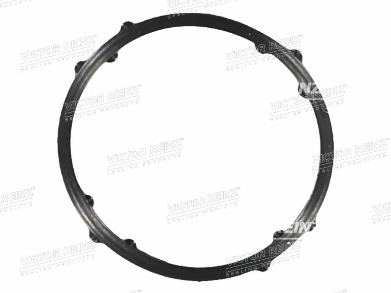 IPSASP_70-38947-00КольцоуплотнительноеклапанойкрышкиVAGOCTAVIA,PASSAT,GOLFBBY,CAVG,BBZ