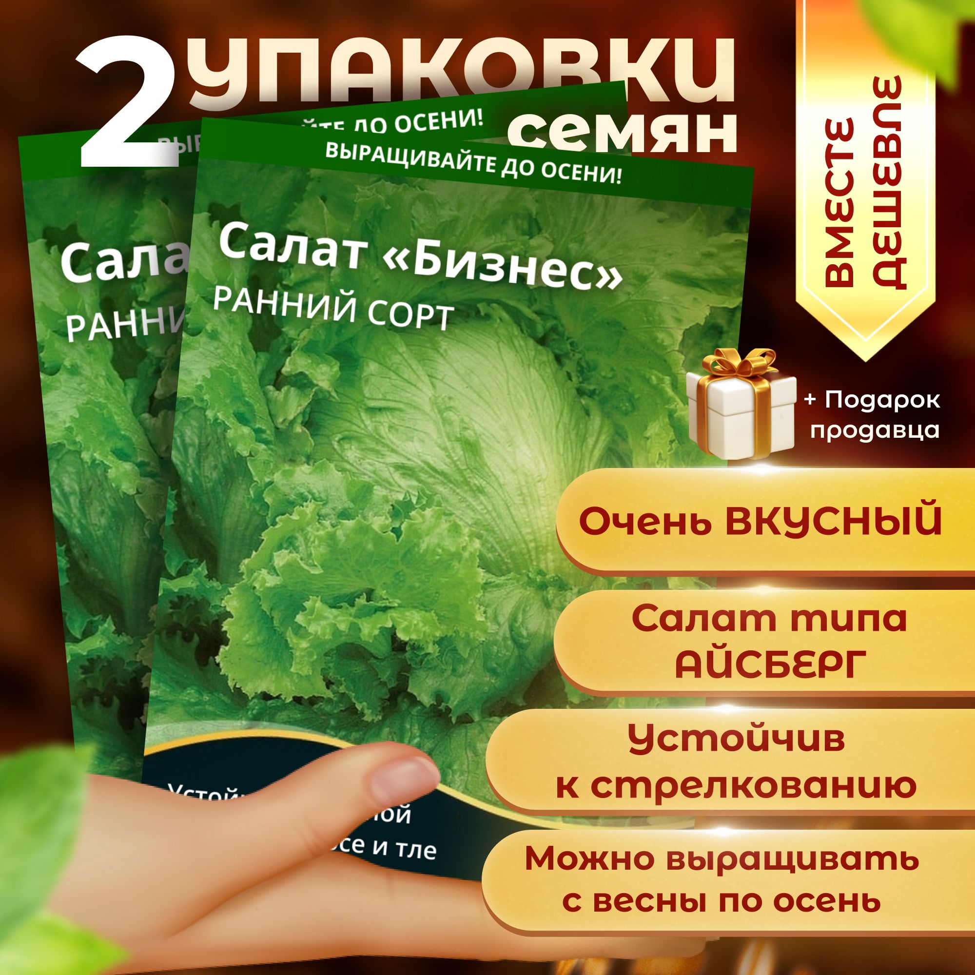 Набор семян Салат Бизнес 2 упаковки по 10 шт.