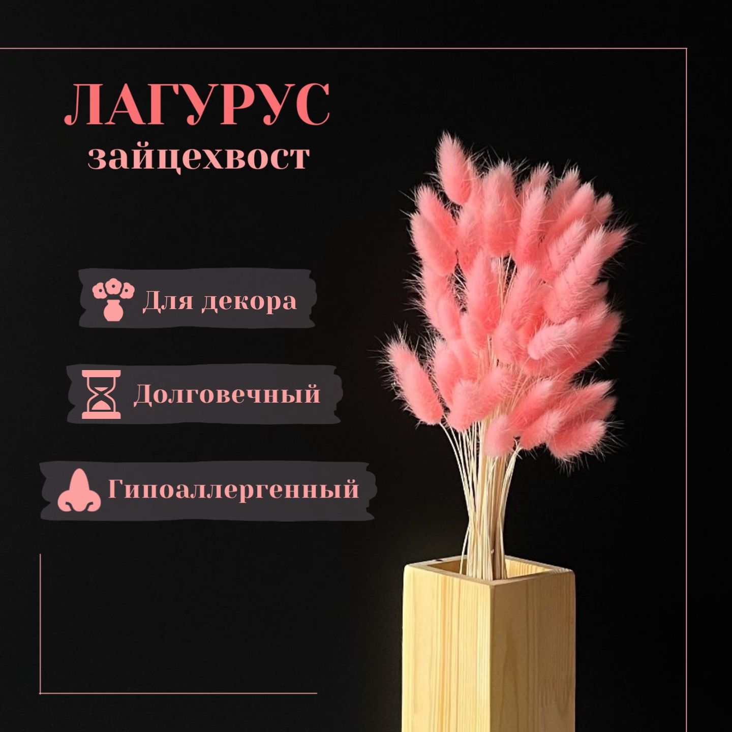 Сухоцветы Лагурус, 50 см, 100 гр, 60 шт